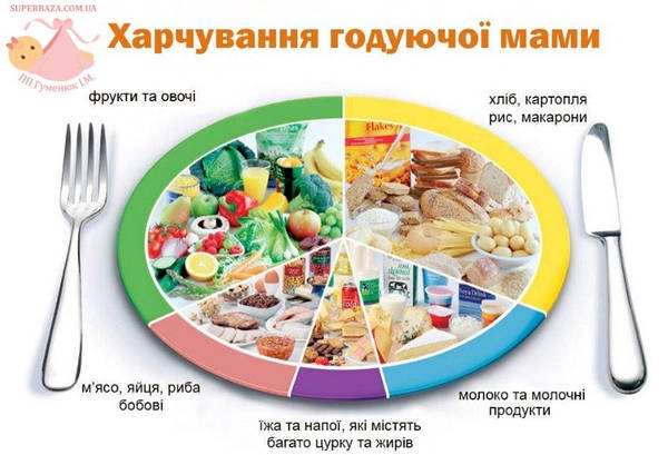 Харчування годуючої мами.