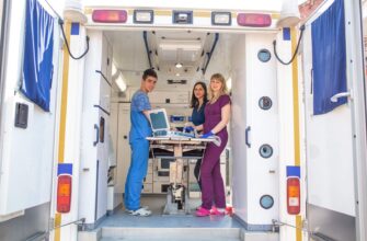 Швидка допомога для тварин: як забезпечити безпеку у критичній ситуації