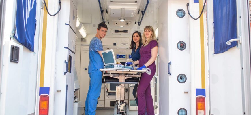 Швидка допомога для тварин: як забезпечити безпеку у критичній ситуації