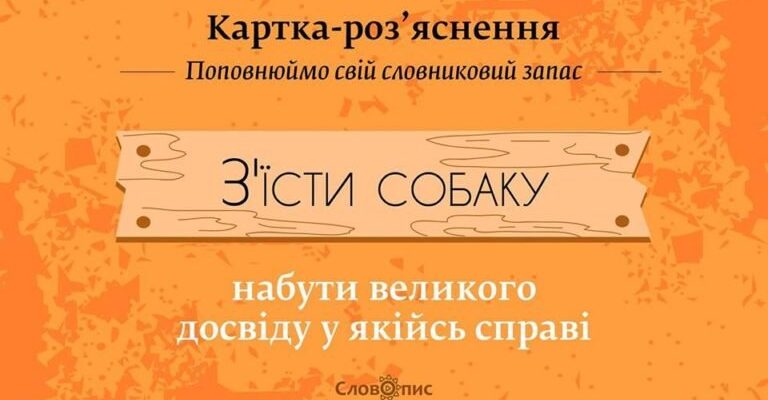 Що означає “собаку з’їсти”: походження та значення виразу