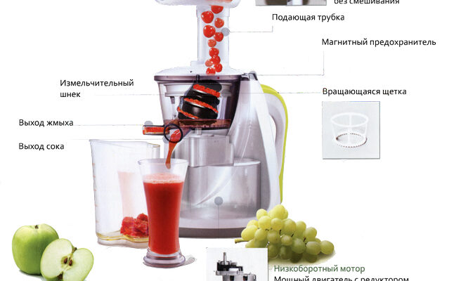 Шнекова соковижималка: які фрукти й овочі категорично не підходять?