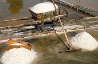 Хто першим відкрив сіль: історія винаходу та розвиток вживання