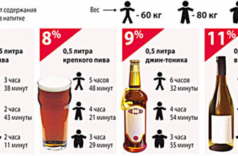 Коли зникає запах пива: терміни та поради для усунення аромату