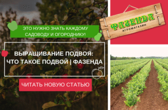 Навіщо потрібні підщепи: ключ до успіху в садівництві та аграрії