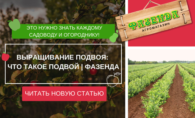 Навіщо потрібні підщепи: ключ до успіху в садівництві та аграрії