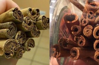 Що насправді ви купуєте: знайдіть правду про замінники кориці