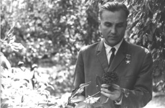 Вірші Василя Сухомлинського: Аналіз і Вплив на Українську Літературу