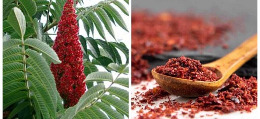 Який смак має сумах: відкрийте нові гастрономічні відтінки