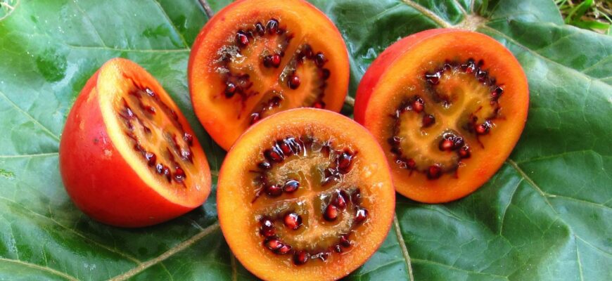 Як правильно їсти тамарилло: поради та секрети споживання фрукту