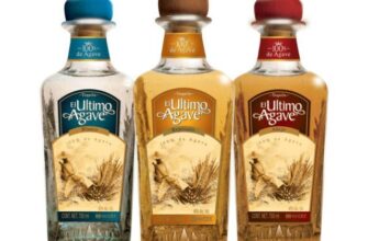 Вибір найкращої текіли: керівництво для поціновувачів агави