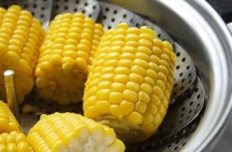 Чи можна їсти кукурудзяну кашу при цукровому діабеті: важливі поради