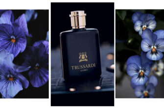 Вибір парфуму з ароматом фіалок: кращі парфуми та їх особливості