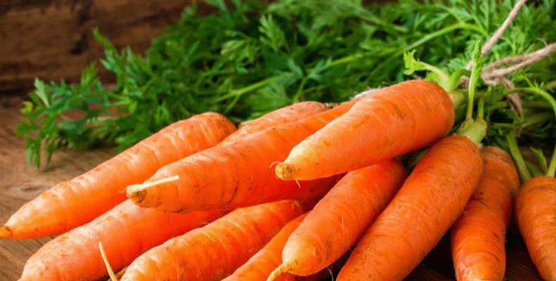 Який сорт моркви найсолодший: огляд та поради для вибору