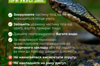 Перша допомога при укусах змій: що робити для порятунку життя