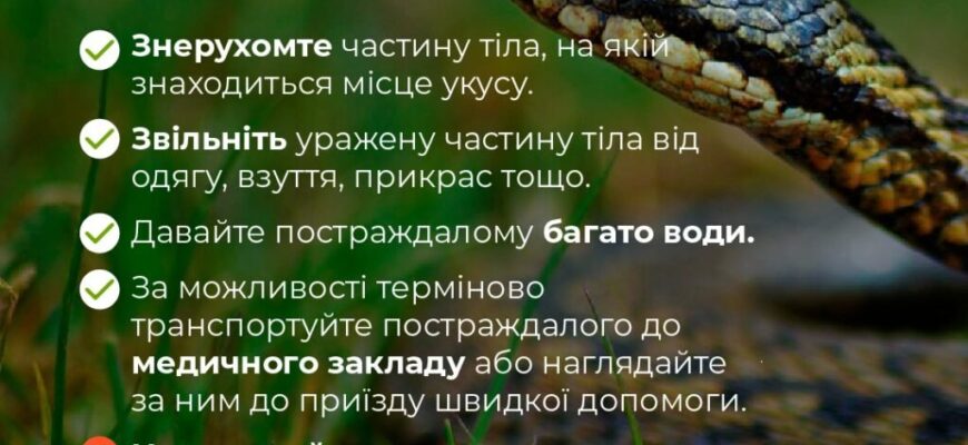 Перша допомога при укусах змій: що робити для порятунку життя