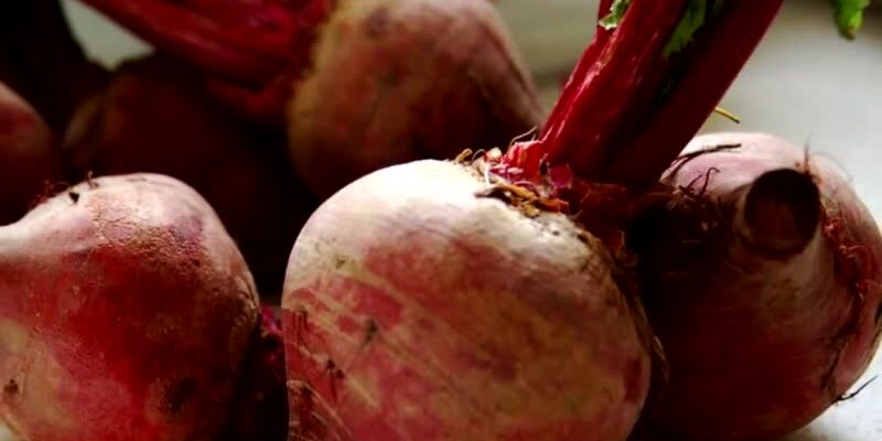 Як правильно заморожувати буряк: найкращі методи та секрети зберігання