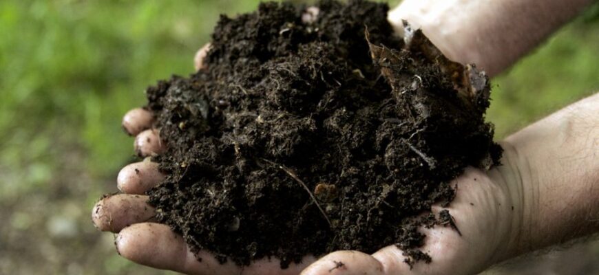 Як самостійно приготувати ефективне добриво з торфу для саду