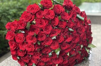 Великі букети троянд: коли емоції передають більше, ніж слова