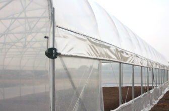Оптимальний мікроклімат в теплиці: Яким має бути повітря для росту рослин