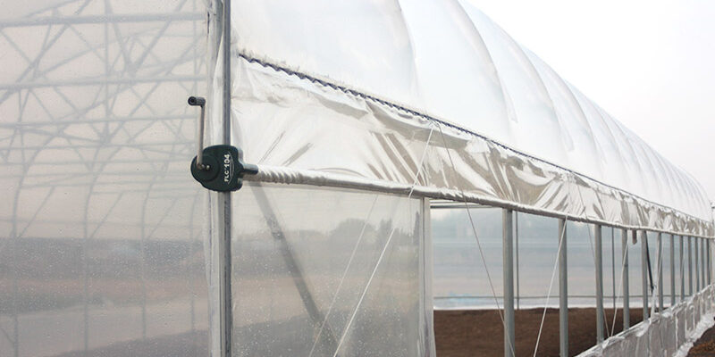 Оптимальний мікроклімат в теплиці: Яким має бути повітря для росту рослин