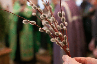 Чи можна викидати гілочки верби: розвінчуємо міфи та традиції