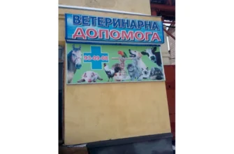 Ветеринарна клініка Любечська 80: якісна ветеринарна допомога вашим улюбленцям