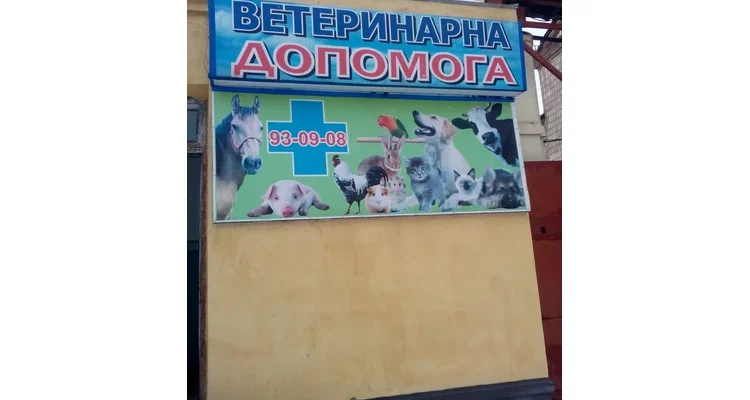 Ветеринарна клініка Любечська 80: якісна ветеринарна допомога вашим улюбленцям