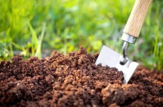 Чому ґрунт вимірюють у літрах: пояснення об’єму та зручності