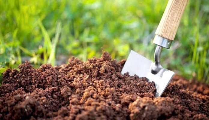 Чому ґрунт вимірюють у літрах: пояснення об’єму та зручності