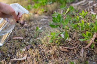 Як ефективно позбутися бур’янів: використання оцтової кислоти в саду