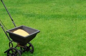 Оптимальний час для вичісування газону навесні: рекомендації та поради