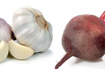 Чи безпечно поливати цибулю і часник холодною водою: експертна думка