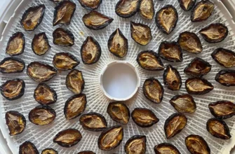 Як правильно сушити сливу в сушарці для овочів: детальний гайд