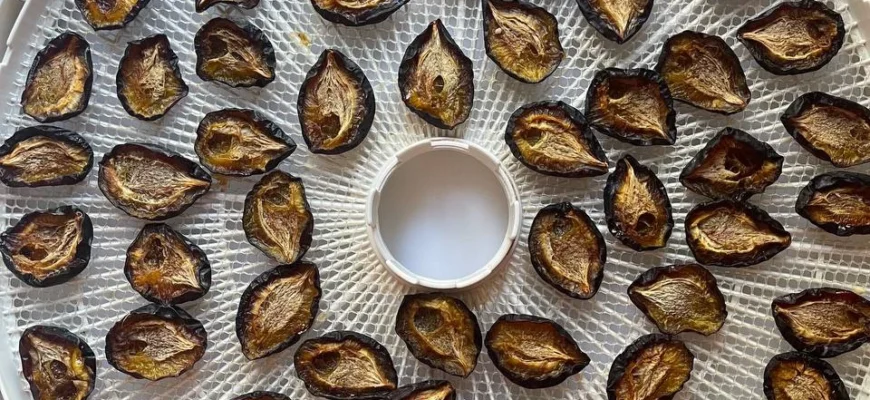 Як правильно сушити сливу в сушарці для овочів: детальний гайд