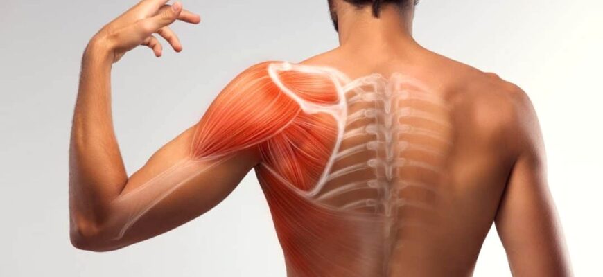 Вивих плечового суглоба: Симптоми, діагностика та лікування ефективно Вивих плечового суглоба: Симптоми, діагностика та лікування ефективно