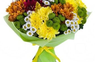 Значення хризантем у подарунок: символіка та приховані послання