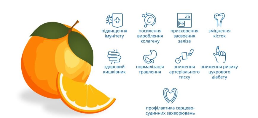 Лікувальні властивості апельсинів: Які хвороби допомагають подолати?
