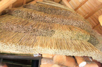 Що можна виготовити з очерету: застосування та корисні властивості