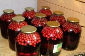 Чи обов’язково накривати банки з компотом: поради та рекомендації