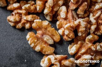 Скільки часу сушити мокрі горіхи в духовці: покрокова інструкція