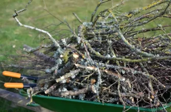 Ефективні способи утилізації сухих гілок на дачній ділянці