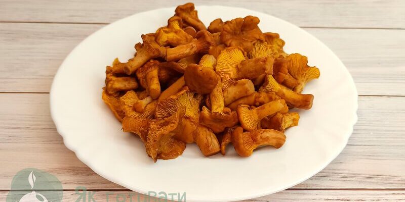 Скільки варити лисички: поради та секрети ідеального приготування