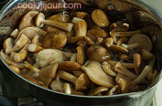 Скільки варити підпеньки: поради для правильної підготовки грибів