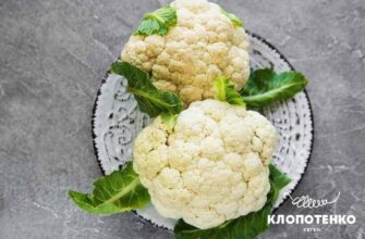 Скільки часу варити цвітну капусту: поради для ідеальної готовності