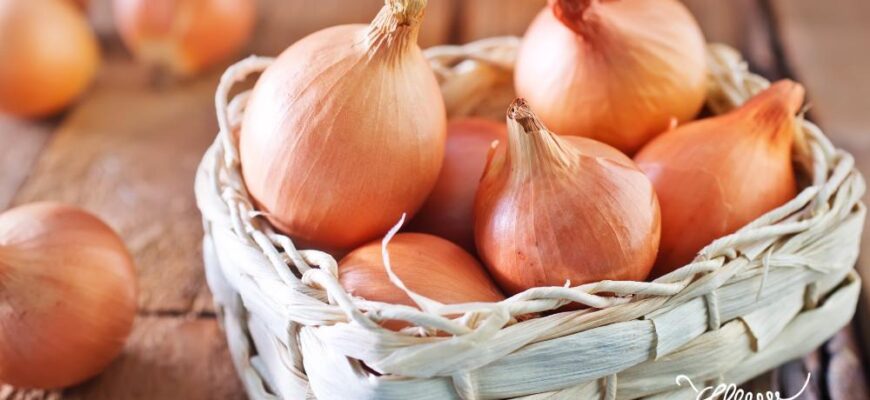 Як зберігати цибулю: поради для уникнення гниття і довгого зберігання