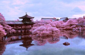 Види сакури в Японії: який обрати для незабутнього цвітіння?