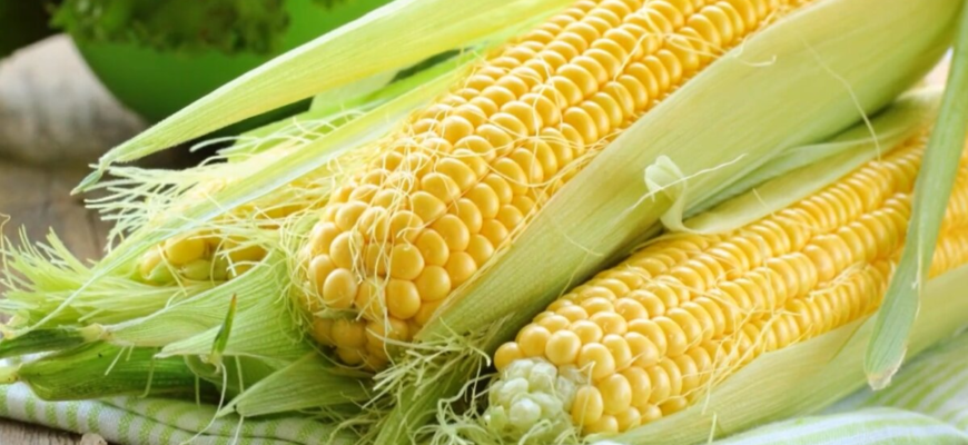 Як відрізнити цукрову кукурудзу від звичайної: експертні поради