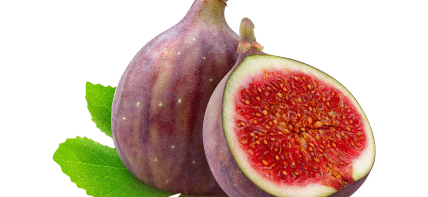 Як оптимально підживити інжир при посадці: поради та рекомендації