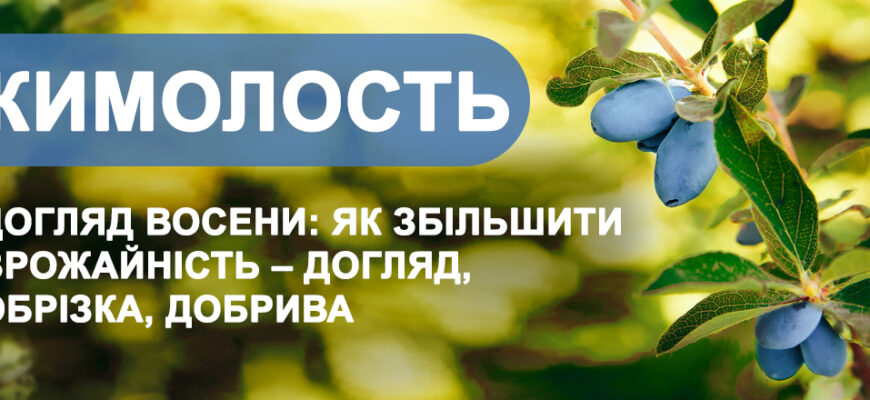 Обробка жимолості восени: ефективні засоби проти хвороб рослин