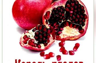 Місяць пробудження гранату: в який період починає рости дерево?